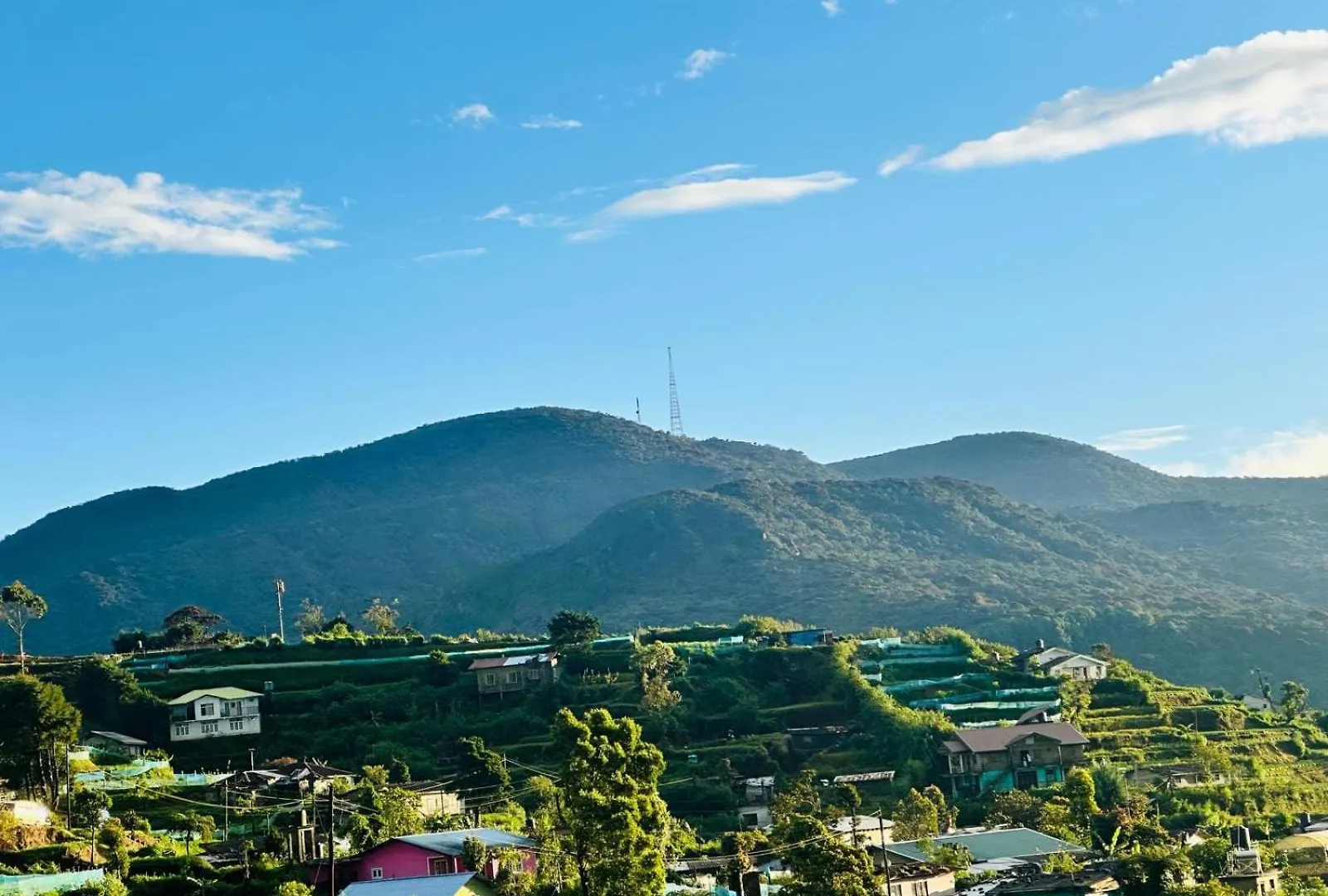 The Golden Hive 1 Hotel Nuwara Eliya 0*,  Sri Lanka